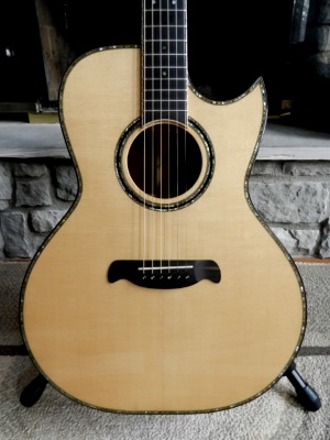 Davis Acoustic Guitars - Cincinnati, Ohio