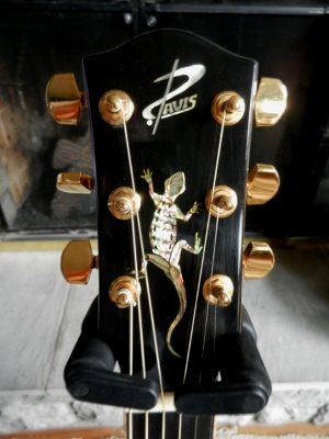 Davis Acoustic Guitars - Figure 8 Model Custom Acoustic