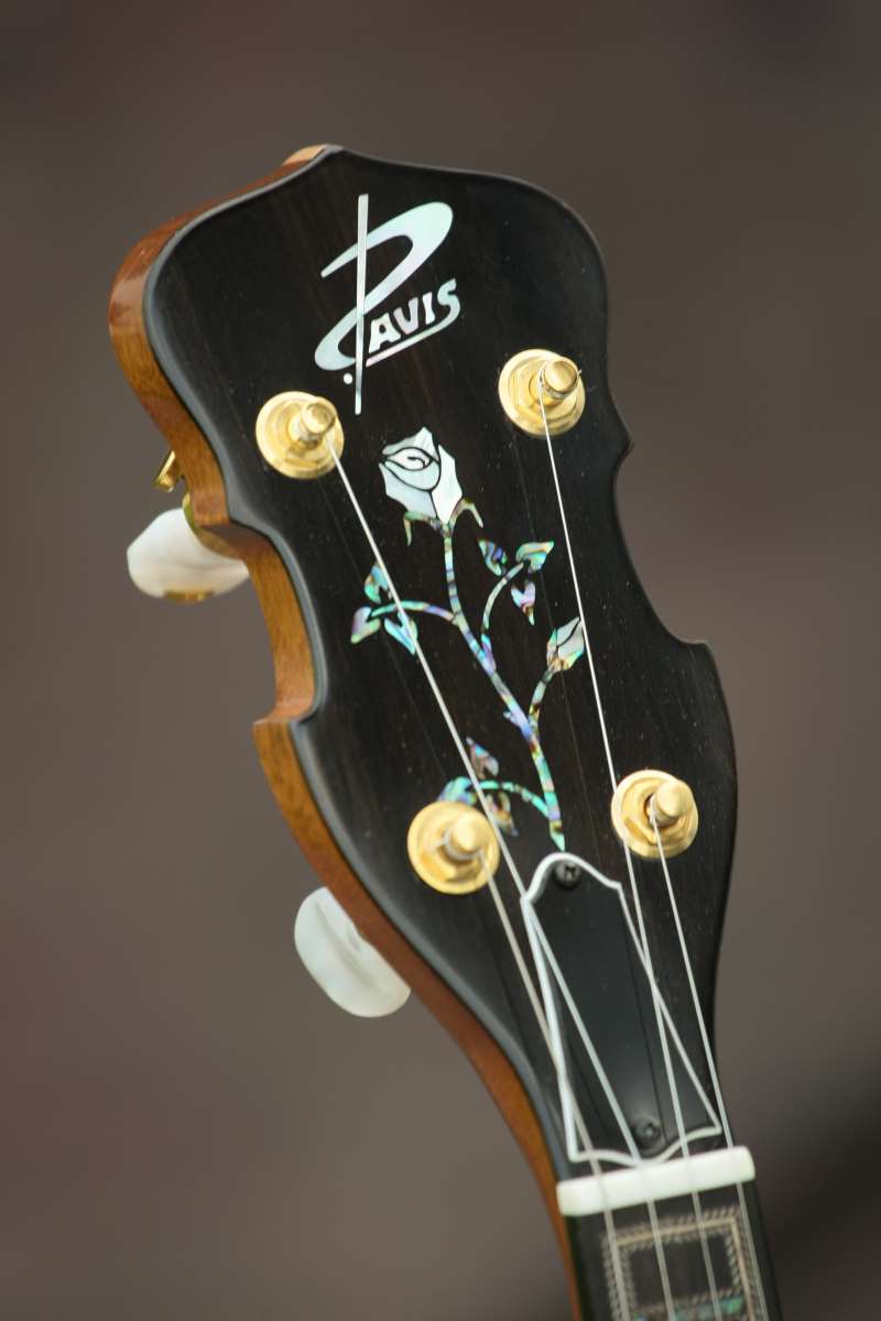Davis Guitars Custom Banjar 4